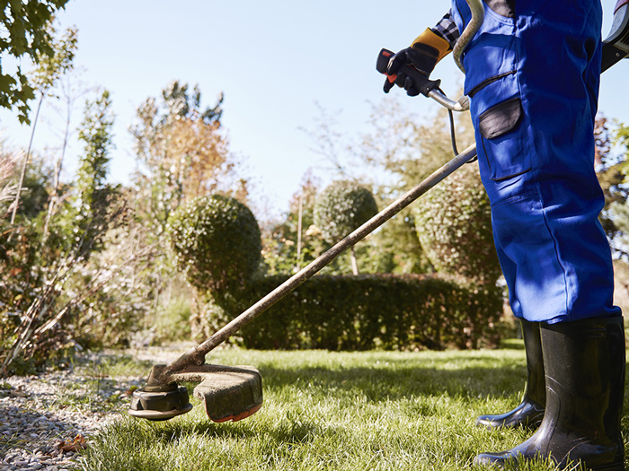 Paysagiste débroussaillant un jardin