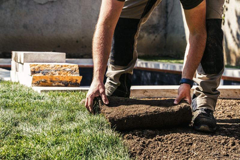 Paysagiste posant du gazon de placage dans un jardin.