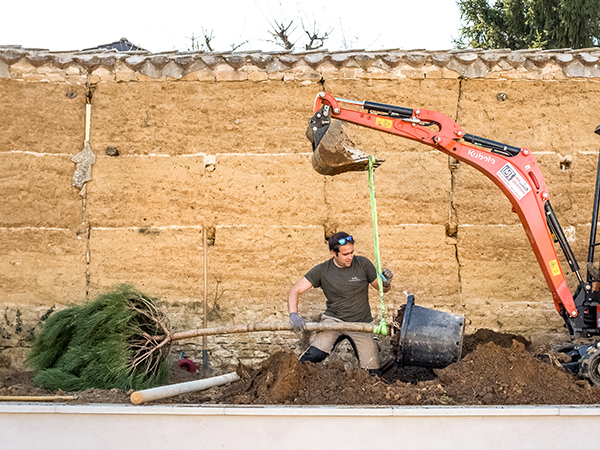 Paysagiste à Ecully plantant un arbre