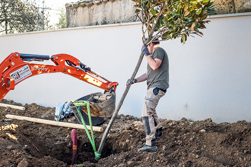 Paysagiste plantant un arbre