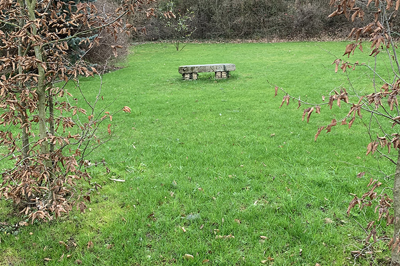 Jardin à la pelouse bien verte et dense suite à un semis